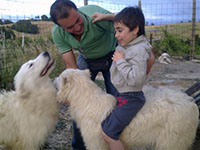 dog and kids